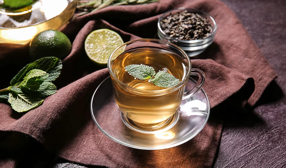 Menthe du Maroc